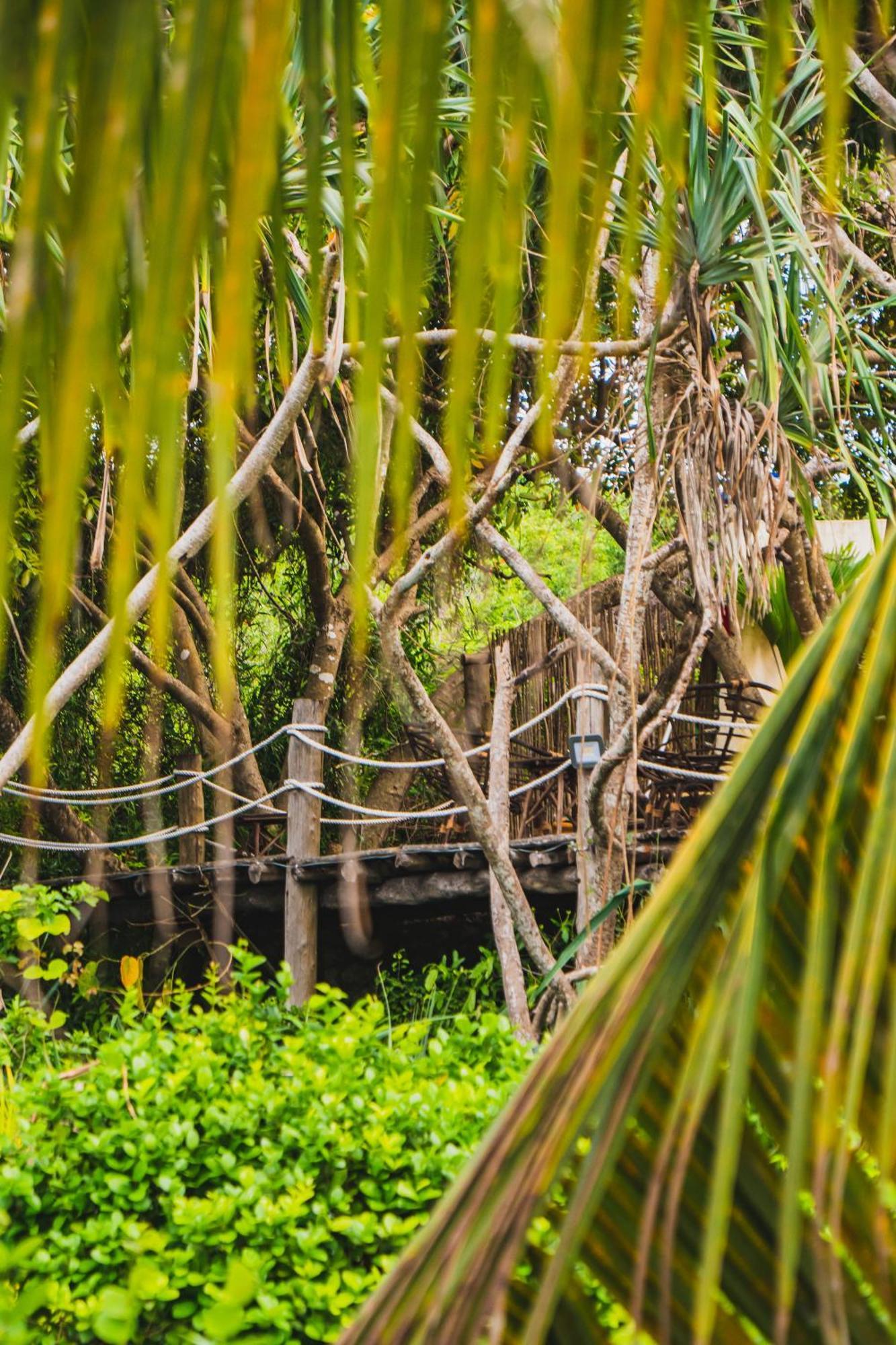 Sunshine Bay Hotel Zanzibar Matemwe  Eksteriør billede